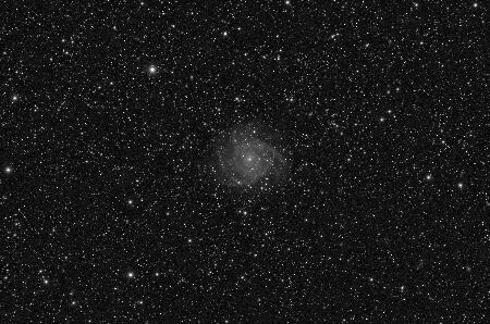 IC342_PGC13826, 2024-01-09, 109x200L, APO100Q, (CV), Toupcam_bin2x2.jpg